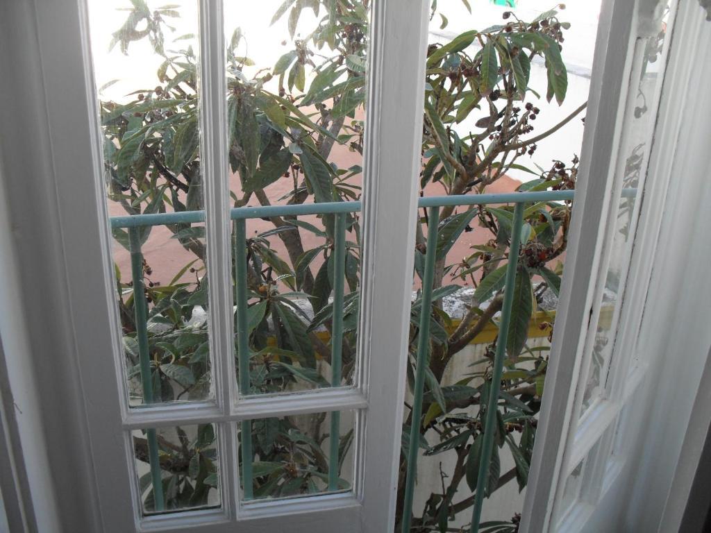 Casa Verde Ferreira Do Alentejo Δωμάτιο φωτογραφία